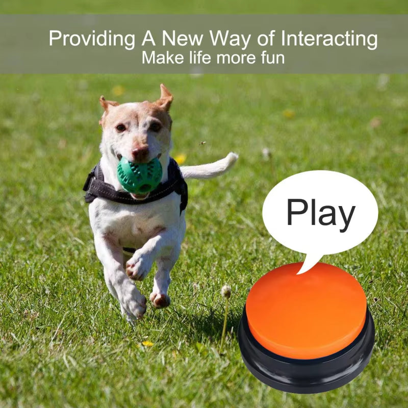 Pet Button Color Voice Recording Button